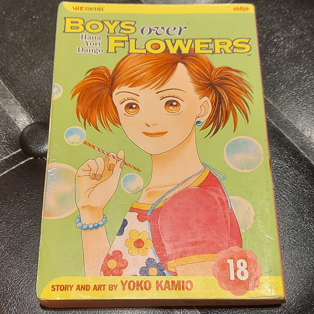 Boys Over Flowers vol. 18